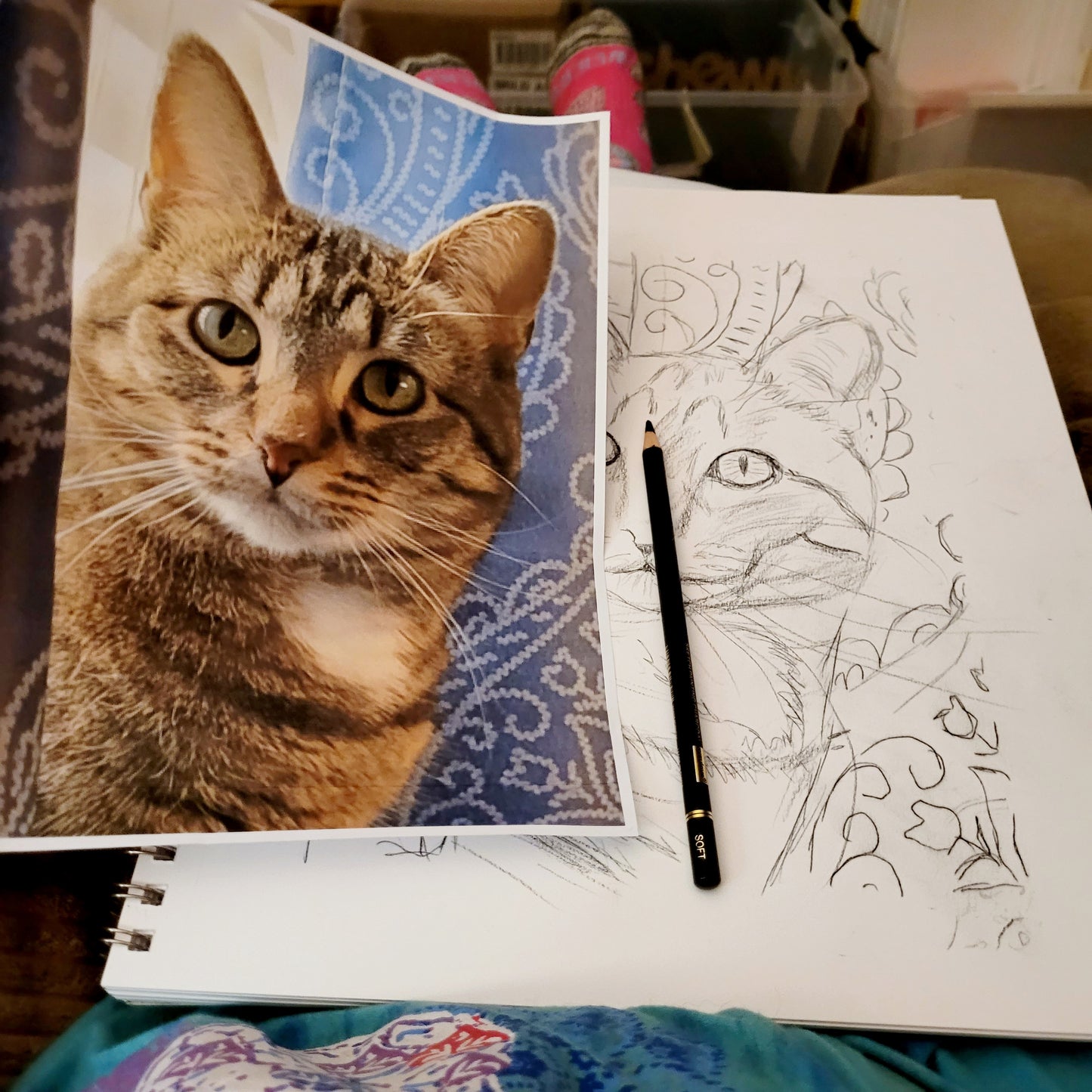 Xena the Kitty - Mixed Media Sketch