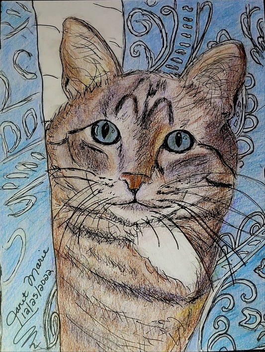 Xena the Kitty - Mixed Media Sketch