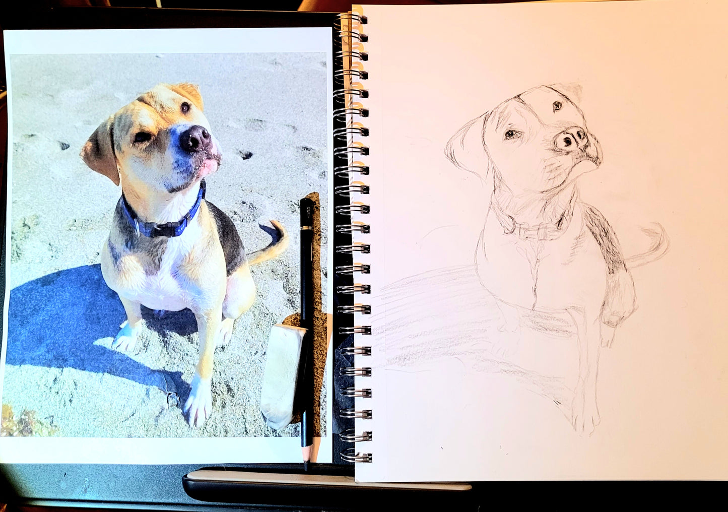 Scout the Pitbull - Mixed Media Sketch