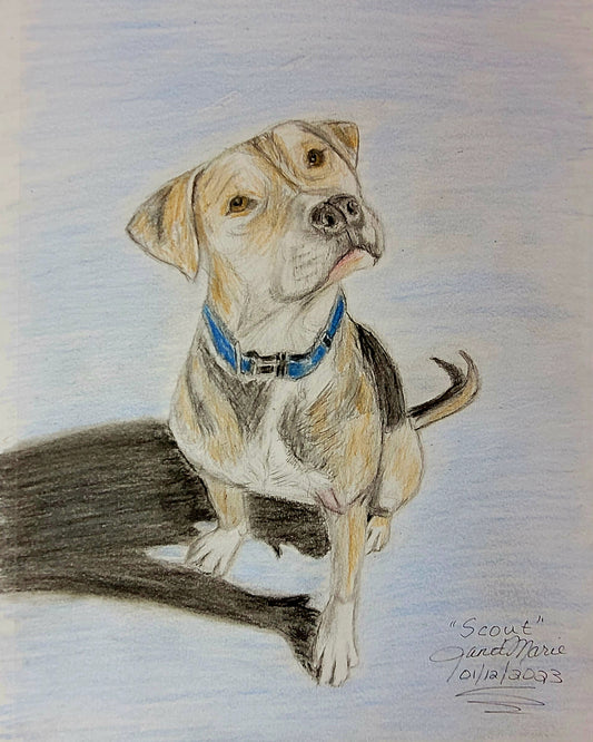 Scout the Pitbull - Mixed Media Sketch