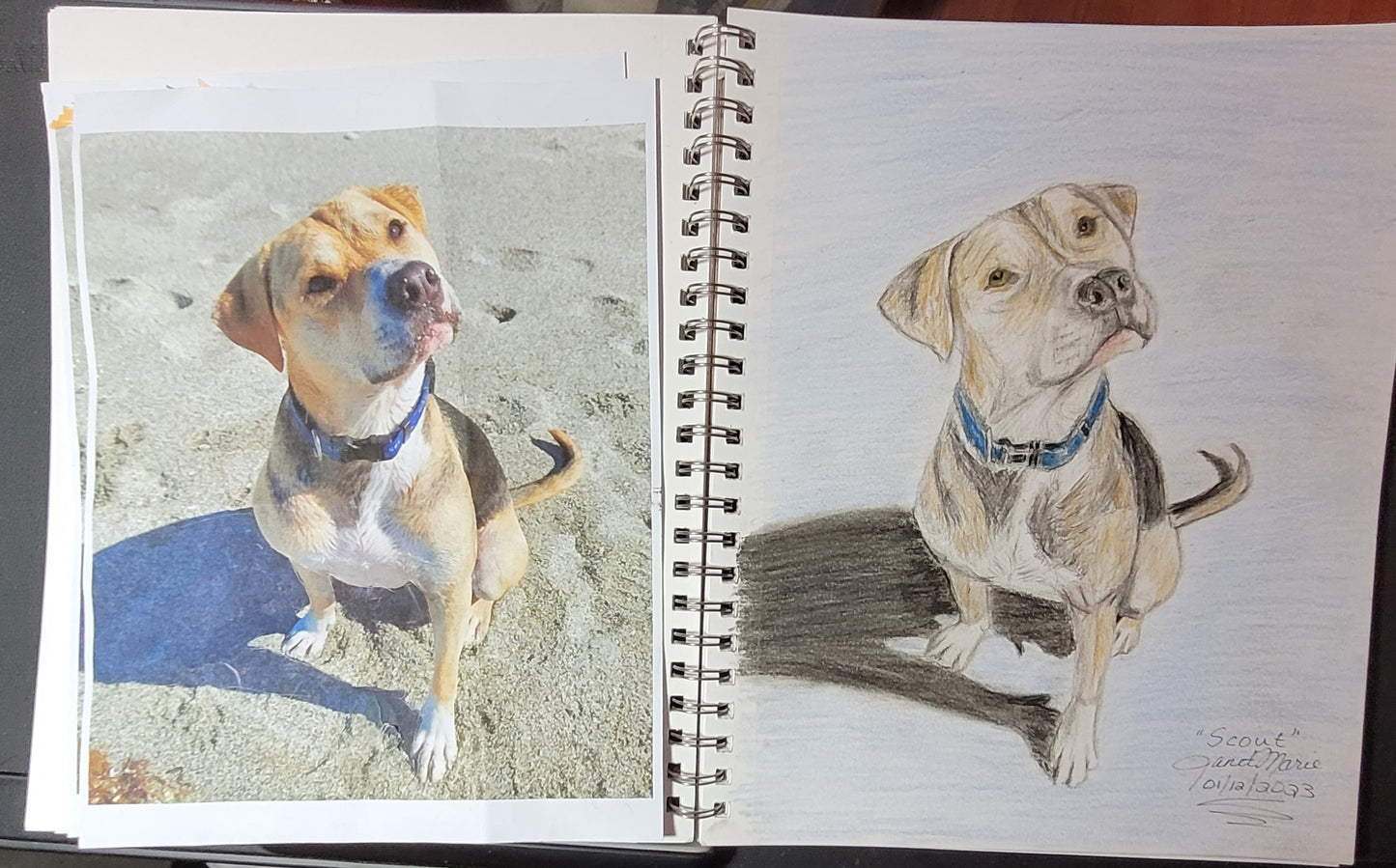 Scout the Pitbull - Mixed Media Sketch