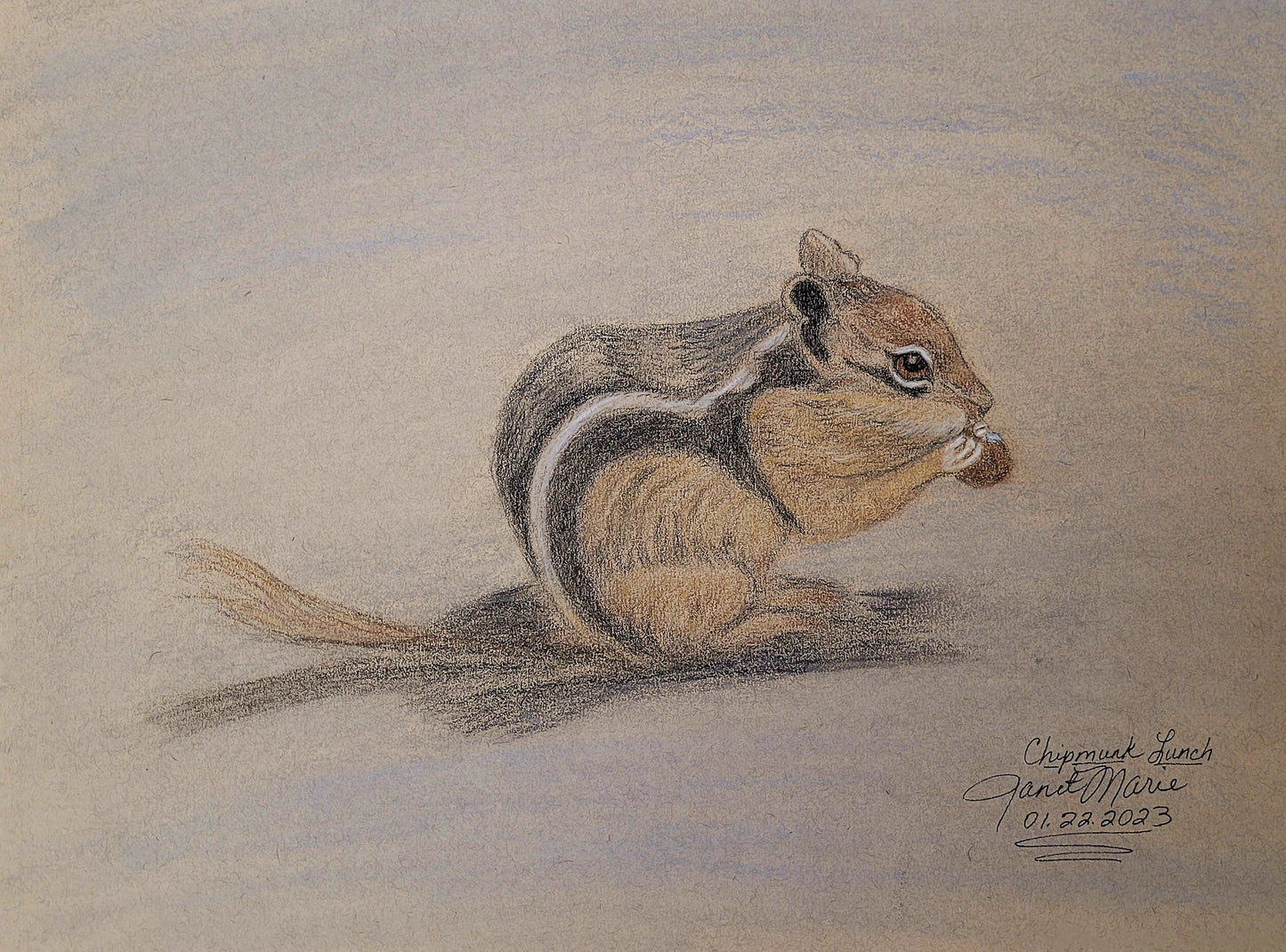 Chipmunk Lunch  - Charcoal Sketch