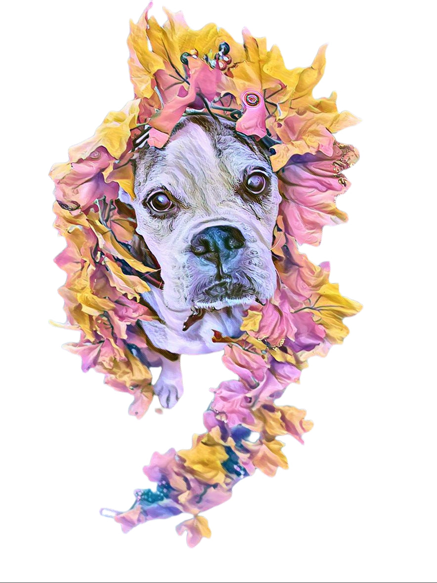 GRACIE THE SENIOR BOXER DOG - Mixed Media